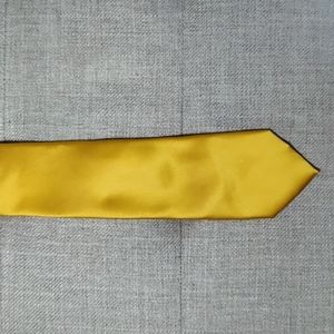 100% Polyester Geoffrey Bean Gold Tie